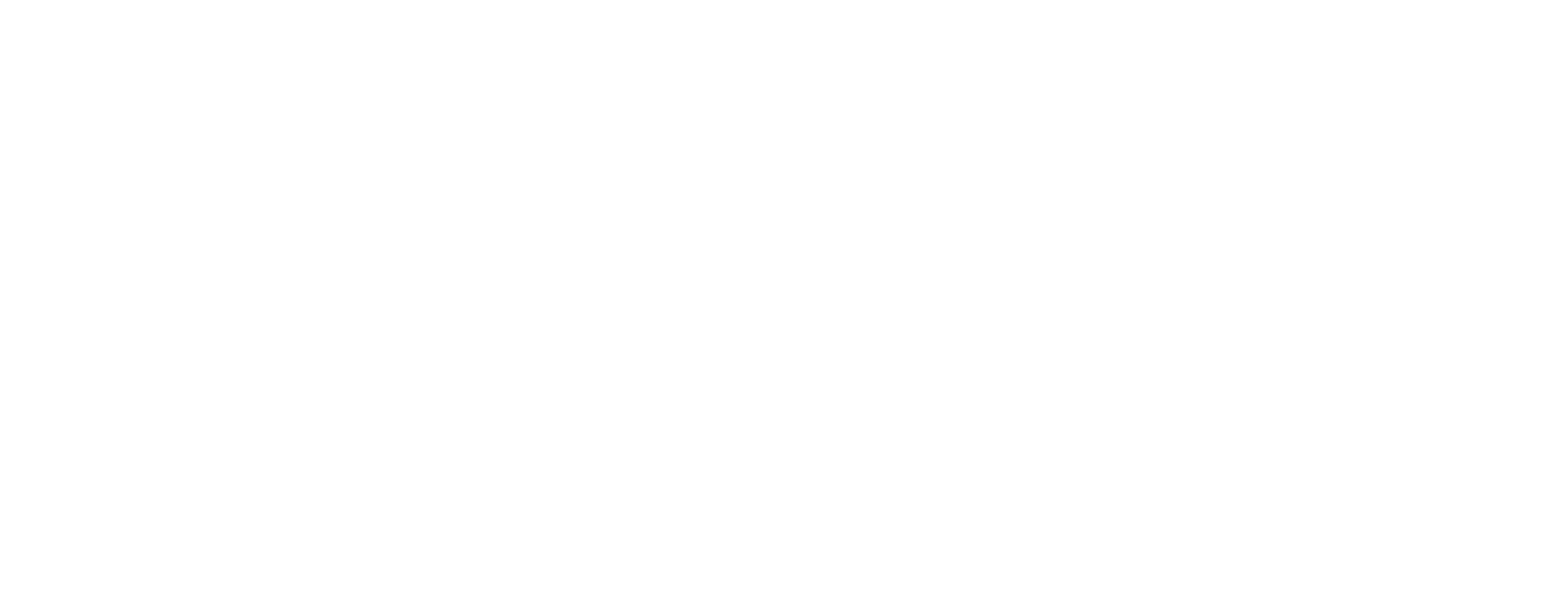 SKAF Consulting